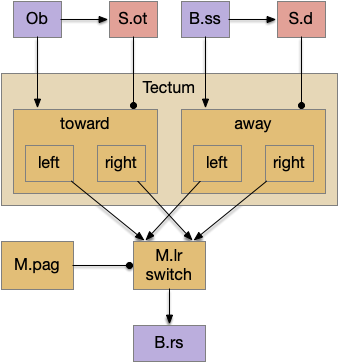 Proto-striatum columns for maintaining attention.